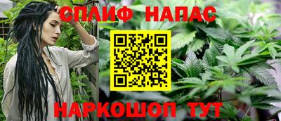 Альфа ПВП Ливны
