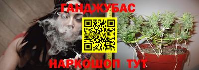 Альфа ПВП Ливны