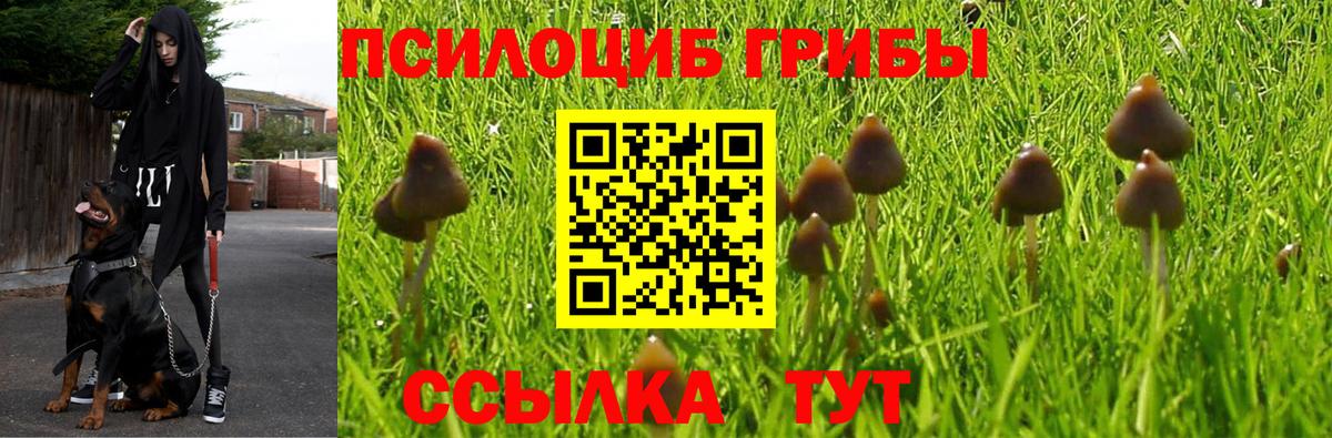 Галлюциногенные грибы мицелий  Вход с VPN  Псилоцибиновые грибы Magic Shrooms  Ессентуки 